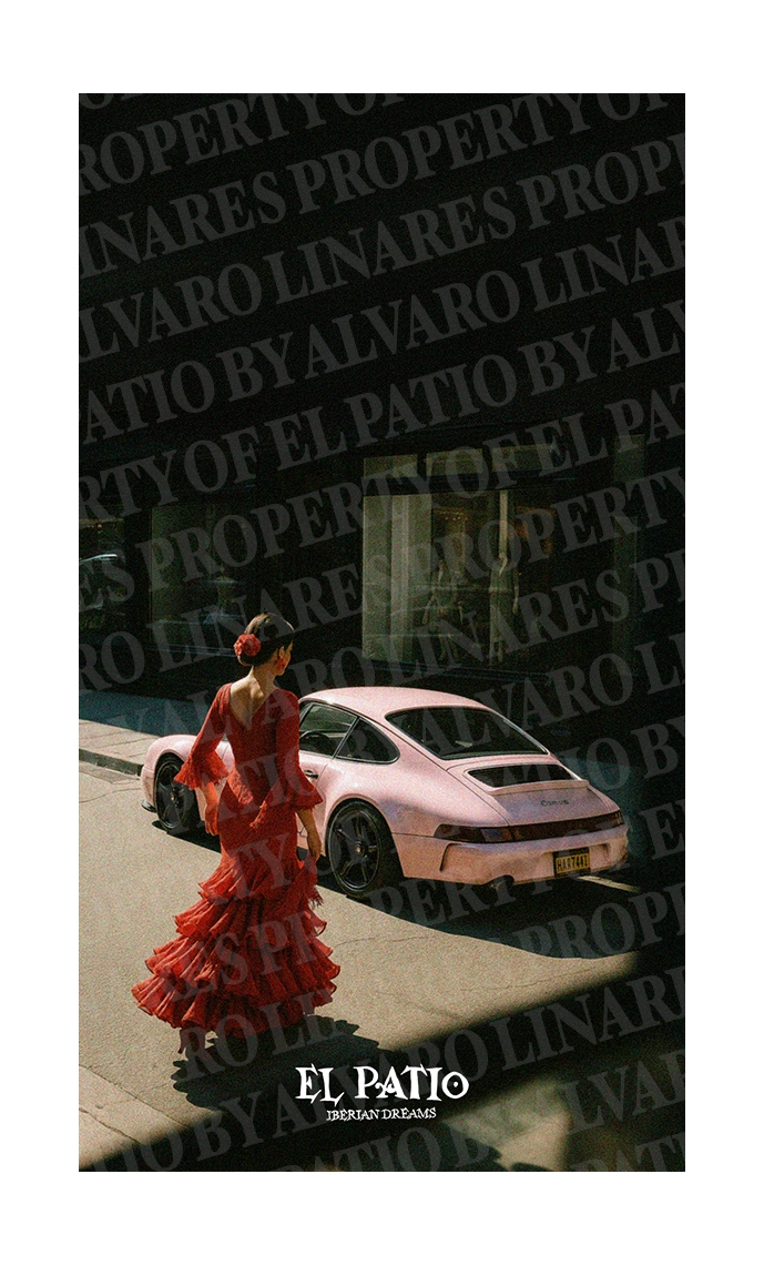 FLAMENCA DRIVE WALLPAPER